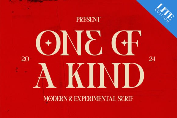One of a Kind: The Experimental Serif for Bold Brands